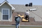 Ti Treeskylights-2.jpg; ?>
